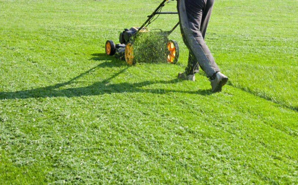 A person mowing a lawn with a lawn mower cutting grass