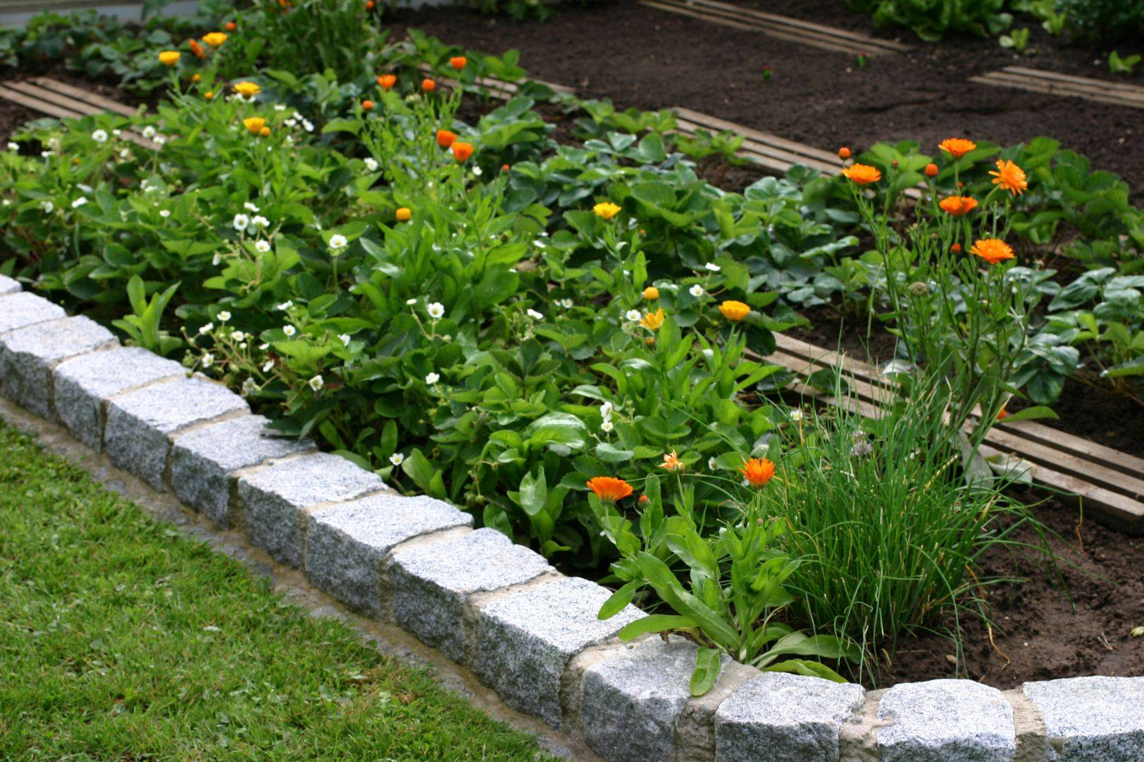 An image of a flower bed with cobblestone edging as a garden border