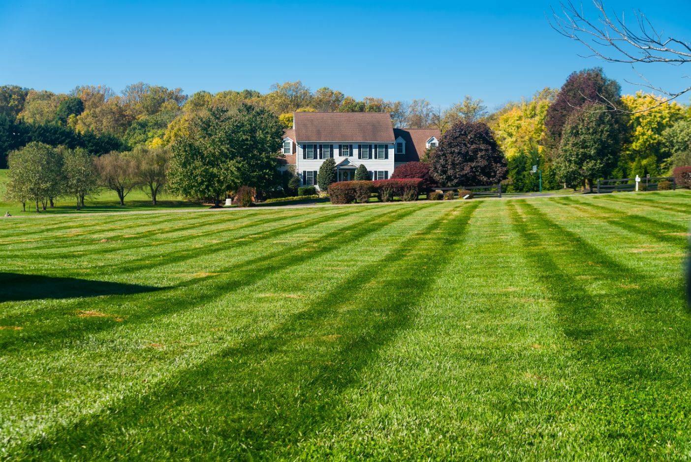 Best lawn care service in Pittsburgh